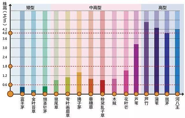 河南景觀設計行業設計植物需要注重的問題有哪些？